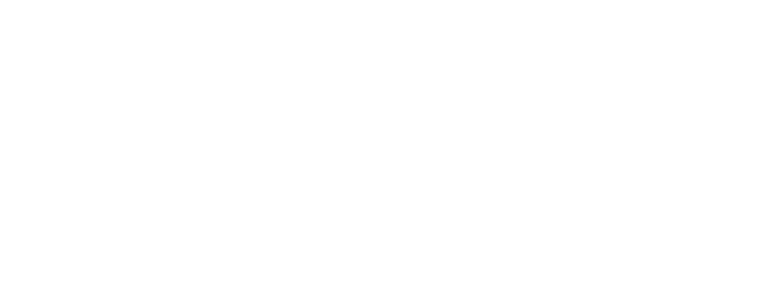 旺财28
